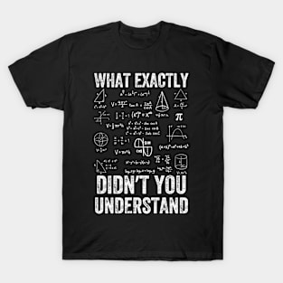 What Exactly Didn't You Understand, mathematics, Vintage style T-Shirt